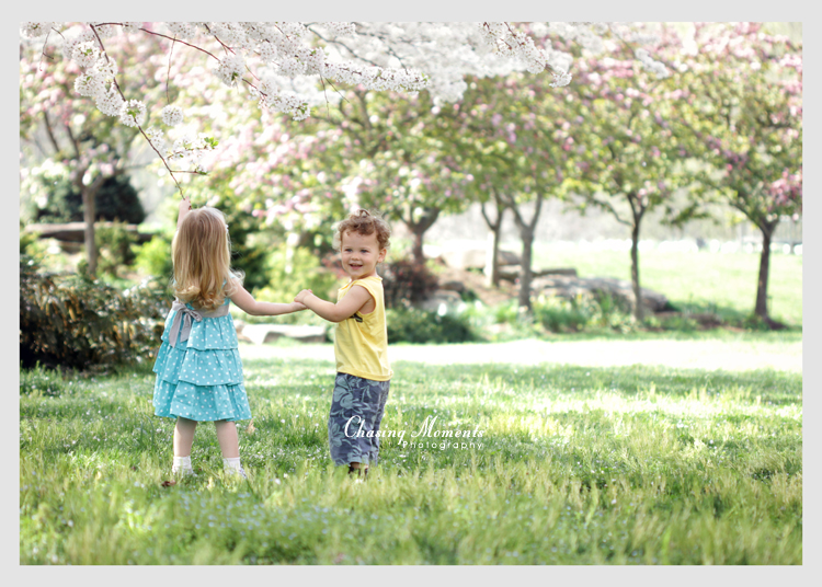 Childrens Photographer Cherry Blossoms Washington DC and Northern Virginia