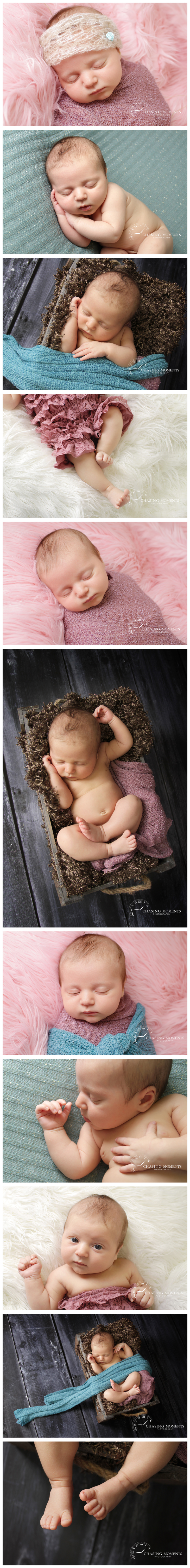 arlington va newborn photographer