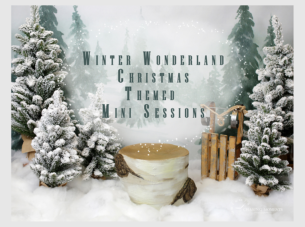christmas mini sessions northern virginia_site